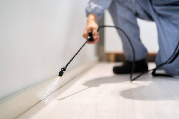 Licensed Mosquito Control service in Branford Center, CT - Show Me Pest Control