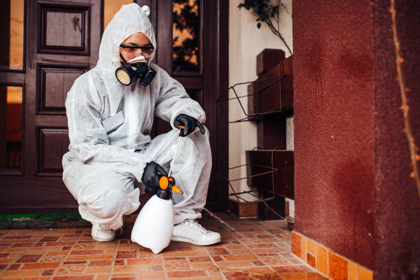 Reliable Mosquito Control contractor in Branford Center, CT by Show Me Pest Control
